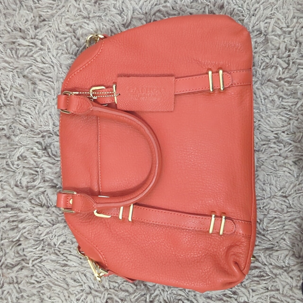 Danier Genuine Leather purse